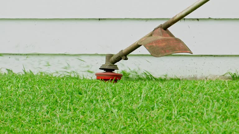 Best Aeration Services  in Cordova, AL