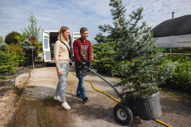 Best Tree and Shrub Care  in Cordova, AL